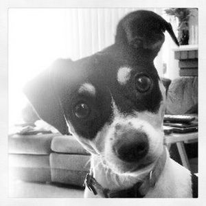 Meet your Posher, Carrie